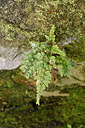 BUITEN BEELD Foto: 323023