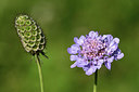 BUITEN BEELD Foto: 323049