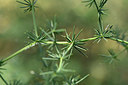 BUITEN BEELD Foto: 323051