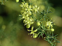 BUITEN BEELD Foto: 323053