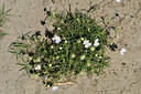 BUITEN BEELD Foto: 323059