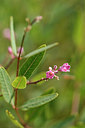 BUITEN BEELD Foto: 323061