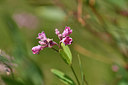 BUITEN BEELD Foto: 323062