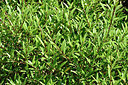 BUITEN BEELD Foto: 323064