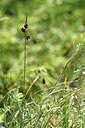BUITEN BEELD Foto: 323065
