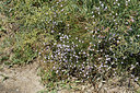 BUITEN BEELD Foto: 323069
