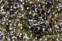 BUITEN BEELD Foto: 323077