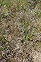 BUITEN BEELD Foto: 323086