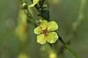 BUITEN BEELD Foto: 323108