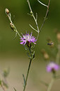 BUITEN BEELD Foto: 323130