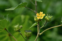 BUITEN BEELD Foto: 323144