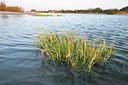 BUITEN BEELD Foto: 323145