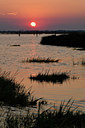 BUITEN BEELD Foto: 323156