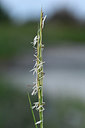 BUITEN BEELD Foto: 323161