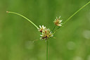 BUITEN BEELD Foto: 323183