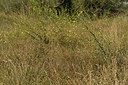 BUITEN BEELD Foto: 323206