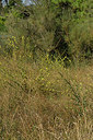 BUITEN BEELD Foto: 323207