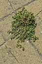 BUITEN BEELD Foto: 323213