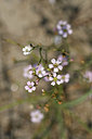 BUITEN BEELD Foto: 323218