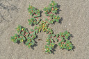 BUITEN BEELD Foto: 323222