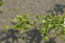 BUITEN BEELD Foto: 323223