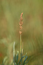 BUITEN BEELD Foto: 323247