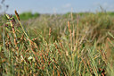 BUITEN BEELD Foto: 323263