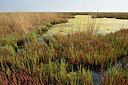BUITEN BEELD Foto: 323264