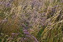 BUITEN BEELD Foto: 323283