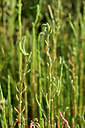 BUITEN BEELD Foto: 323284