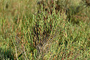 BUITEN BEELD Foto: 323293
