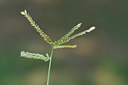 BUITEN BEELD Foto: 323296