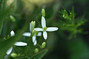 BUITEN BEELD Foto: 323308