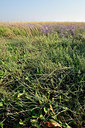 BUITEN BEELD Foto: 323315