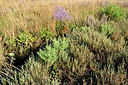 BUITEN BEELD Foto: 323321
