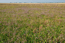 BUITEN BEELD Foto: 323325