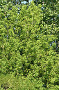BUITEN BEELD Foto: 323348