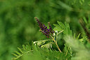 BUITEN BEELD Foto: 323368