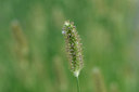 BUITEN BEELD Foto: 323383