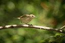BUITEN BEELD Foto: 323435