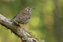 BUITEN BEELD Foto: 323441