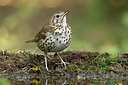 BUITEN BEELD Foto: 323442