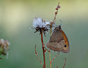 BUITEN BEELD Foto: 323470