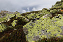 BUITEN BEELD Foto: 323478