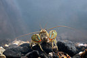 BUITEN BEELD Foto: 323543