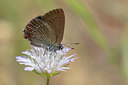 BUITEN BEELD Foto: 323544