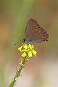 BUITEN BEELD Foto: 323548