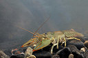 BUITEN BEELD Foto: 323560