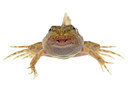 BUITEN BEELD Foto: 323587
