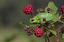 BUITEN BEELD Foto: 323620